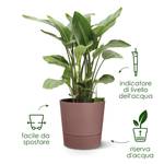 greensense aqua care round 43cm charcoal grey